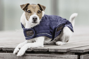 Derka dla psa Kentucky Dogwear Pearls