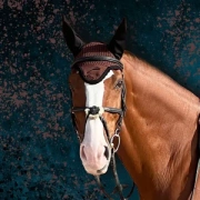 Nauszniki klasyczne eQuick 