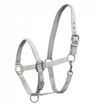 Kantar Waldhausen Satin