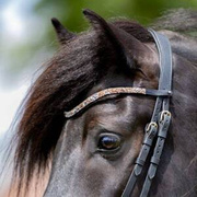 Naczółek opadający Kavalkade Button