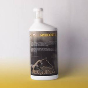 Suplement wspierający mięśnie Equina Myofortil 1000ml