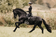 Czaprak ujeżdżeniowy Kentucky Horsewear Glitter Stone