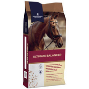 Dodson & Horrell Ultimate Balancer 20kg