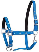 Kantar API Active Horses