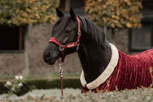 Kantar dla konia Kentucky Horsewear Velvet