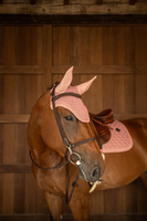 Nauszniki klasyczne Kentucky Horsewear Wellington Plaited Glitter Rope