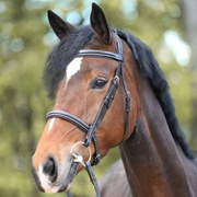 Ogłowie z nachrapnikiem angielskim Kavalkade Akila