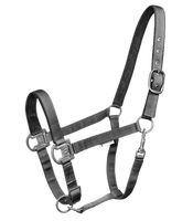 Kantar Waldhausen Gloomy