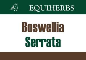 Equiherbs Boswellia Serrata – Kadzidłowiec