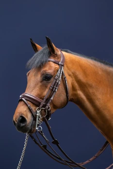 Ogłowie munsztukowe z nachrapnikiem szwedzkim Dy'on Dressage Collection NEECAR