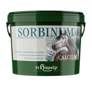 Preparat z wapniem i witaminą C. St. Hippolyt Calcium Sorbinum 10 kg