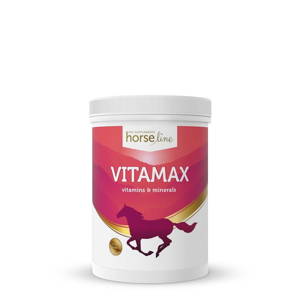 Witaminy i minerały HorseLine Vitamax 