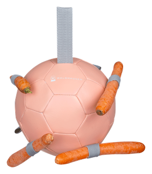 Zabawka dla konia Waldhausen Carrot Ball