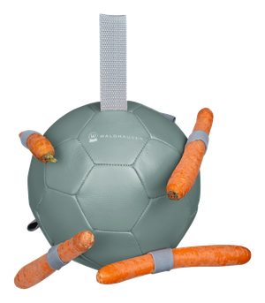 Zabawka dla konia Waldhausen Carrot Ball