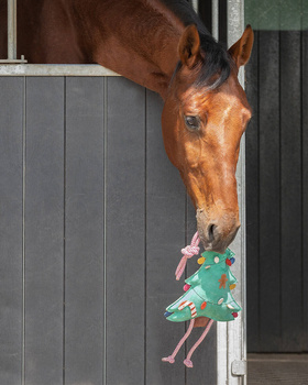 Zabawka do boksu QHP Horse Toy - Christmas